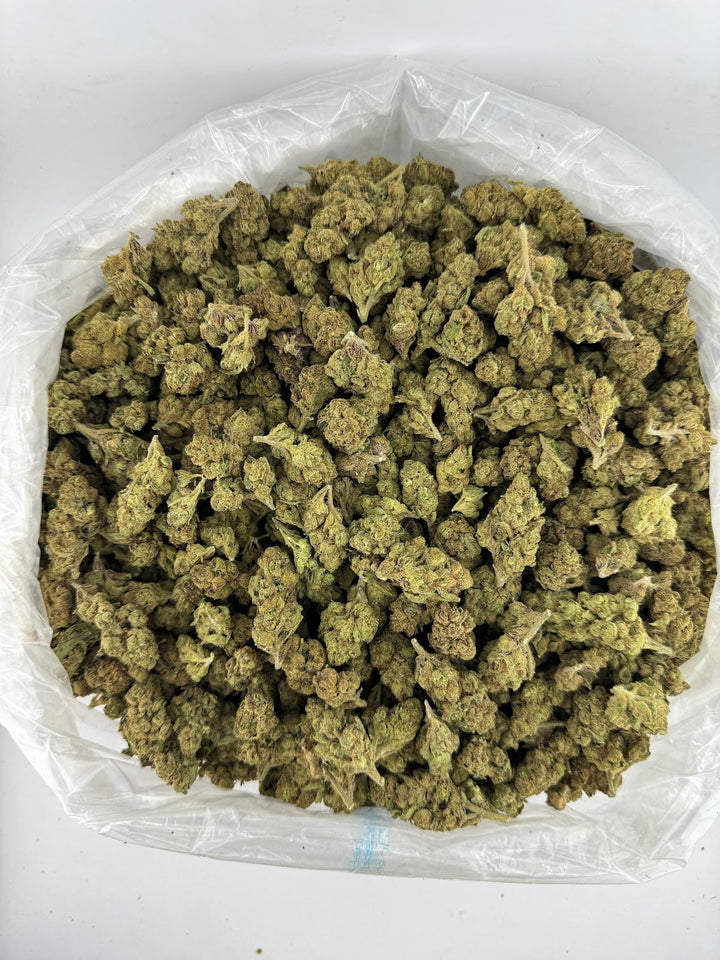 Bag of Blue Runtz Deps Flowers