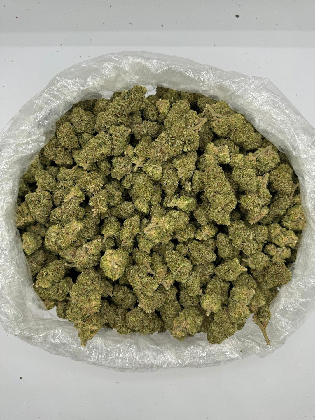 Bag of Jokerz Deps (SM)