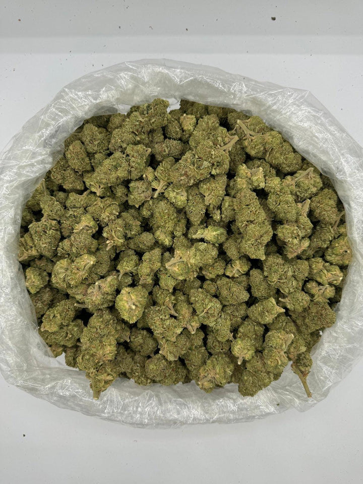 Bag of Jokerz Deps (SM)