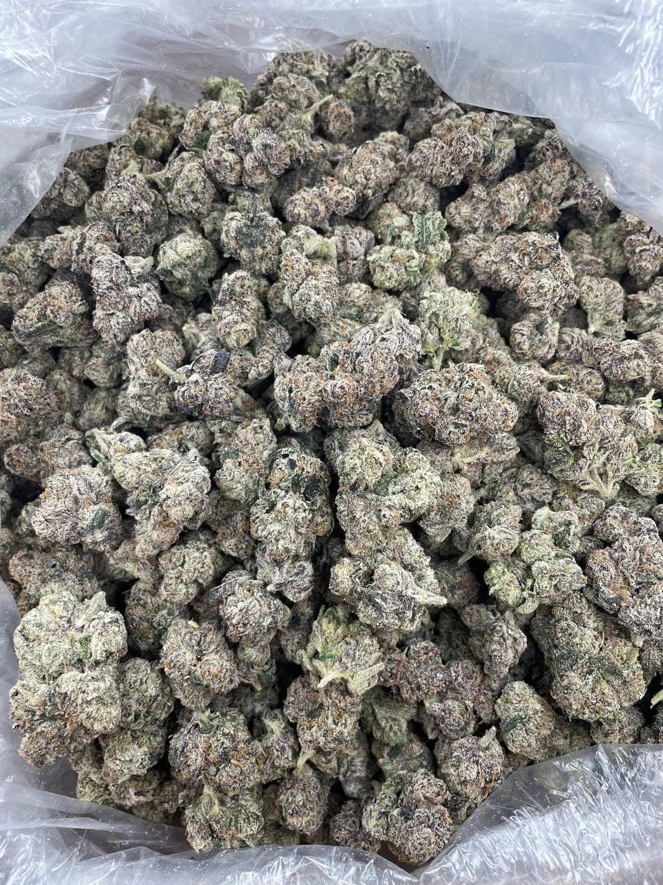 Bag of Purple Zlushie