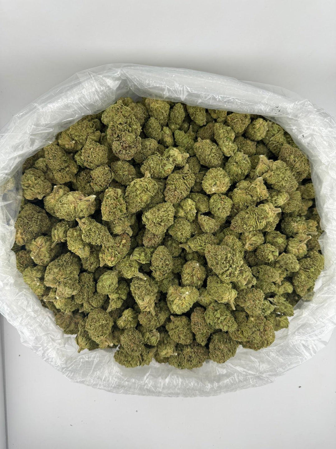 Bag of Blue Hawaiian Deps (SM) Flowers